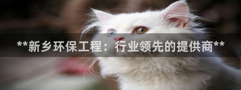 彩名堂客服：**新乡环保工程：行业领先的提供商**