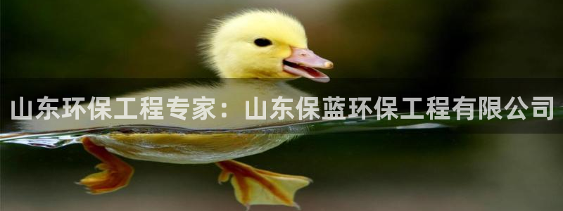 彩名堂预测免费计划怎么看的：山东环保