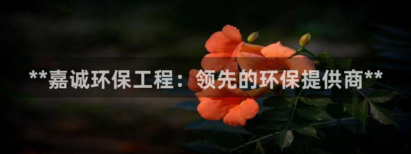 彩名堂客户端是永久免费吗是真的吗安全吗：**嘉诚环保工程：领先的环保提供商**