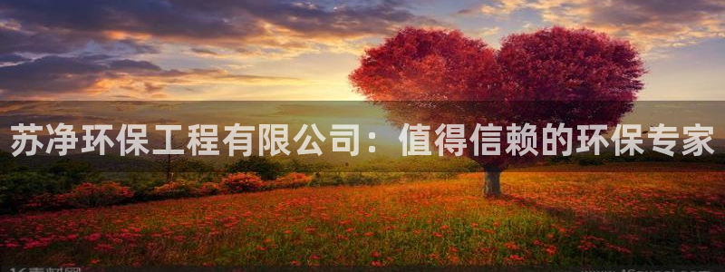 彩名堂网页：苏净环保工程有限公司：值得信赖的环保专家