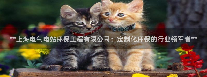彩名堂app官方网：**上海电气电站