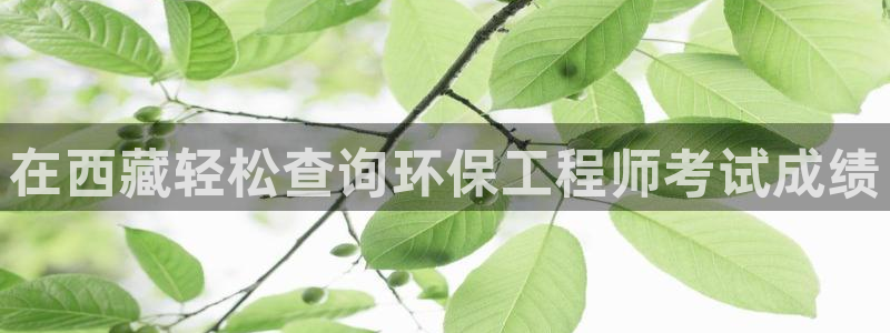 彩名堂预测软件：在西藏轻松查询环保工