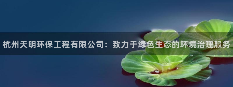 彩名堂平台：杭州天明环保工程有限公司
