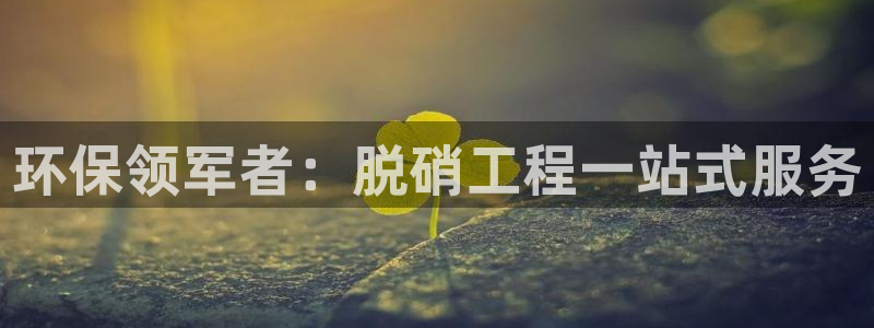 彩名堂客户端官网：环保领军者：脱硝工