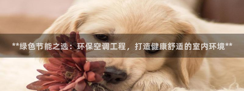彩名堂为什么打不开：**绿色节能之选：环保空调工程，打造健康舒适的室内环境**