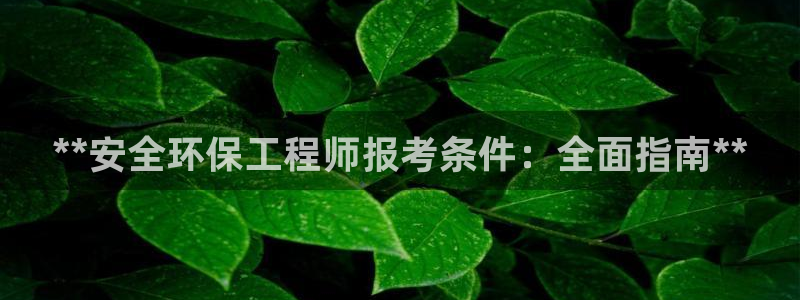 彩名堂下载官网：**安全环保工程师报