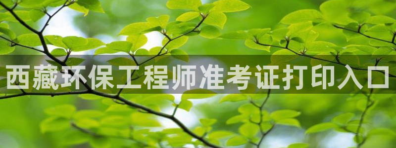 彩名堂计划怎么跟不挂：西藏环保工程师