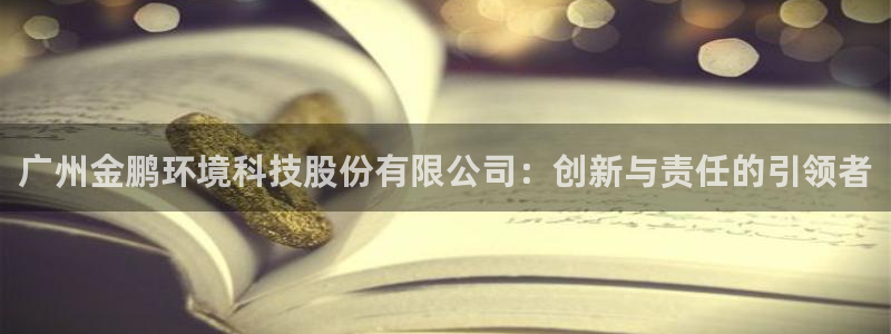 彩名堂怎么样：广州金鹏环境科技股份有