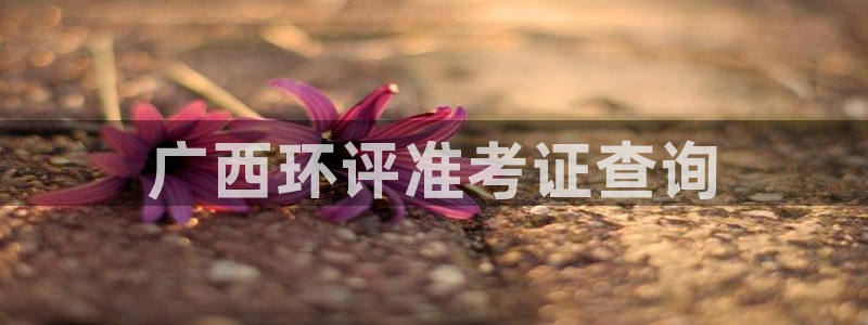 彩名堂怎么用不输：广西环评准考证查询