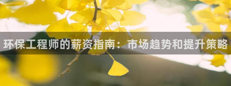 老版本彩名堂计划软件：环保工程师的薪