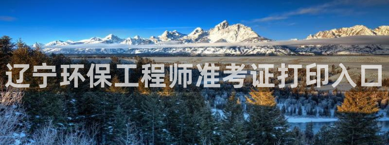 彩名堂官方软件下载：辽宁环保工程师准