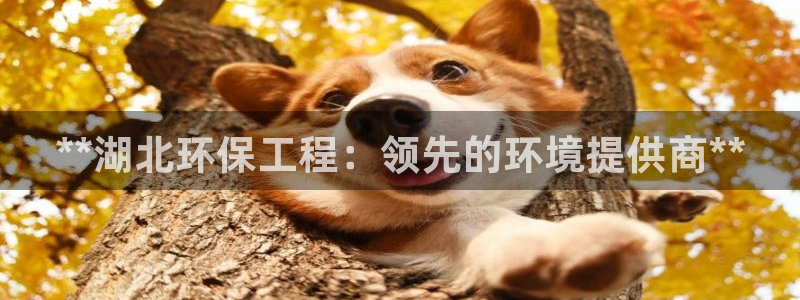 彩名堂app官方下载：**湖北环保工