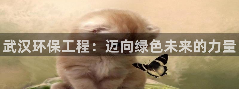 彩名堂幸运飞船计划：武汉环保工程：迈