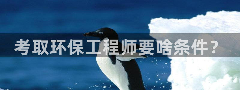 彩名堂免费计划官网50下载957：考取环保工程师要啥条件？