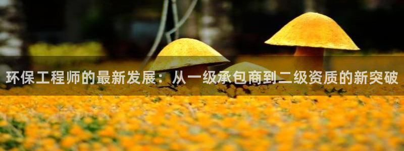 彩名堂免费计划官网老版本：环保工程师