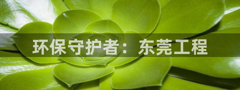 彩名堂怎么打最稳：环保守护者：东莞工程