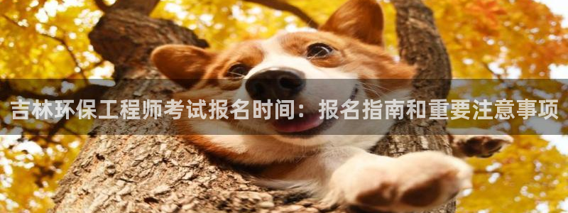 彩名堂免费计划5.0使用方法是什么：