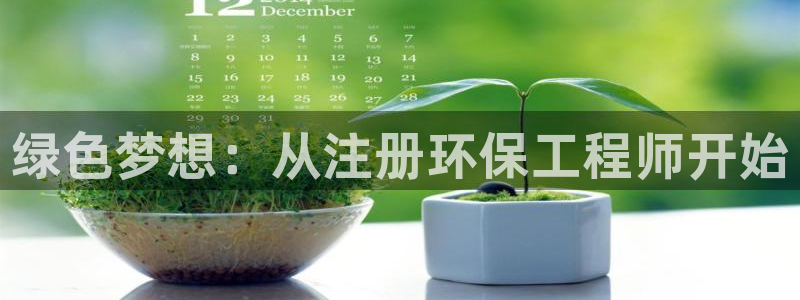 彩名堂计划技巧有哪些：绿色梦想：从注册环保工程师开始