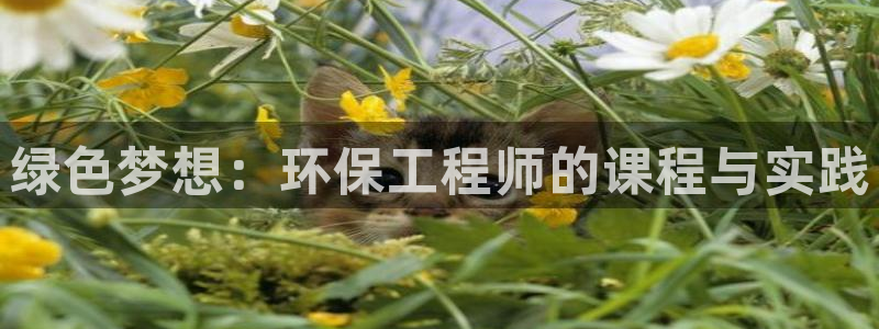 如何进入彩名堂官网更新：绿色梦想：环保工程师的课程与实践