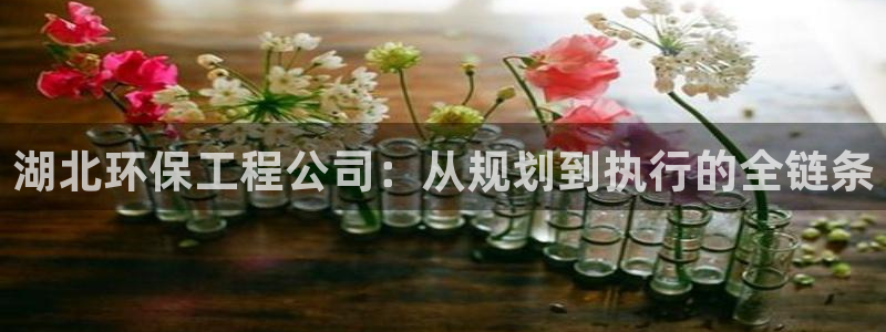 彩名堂最新计划app下载：湖北环保工程公司：从规划到执行的全