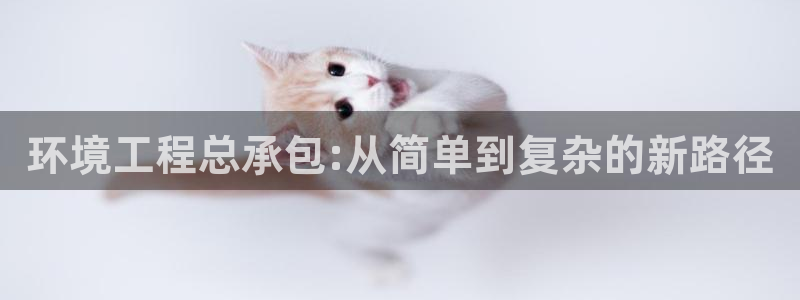 彩名堂下载官网：环境工程总承包:从简