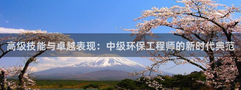 彩名堂怎么样：高级技能与卓越表现：中级环保工程师的新时代典范
