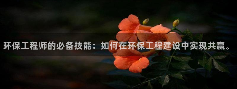 彩名堂安卓客户端官网下载：环保工程师的必备技能：如何在环保工