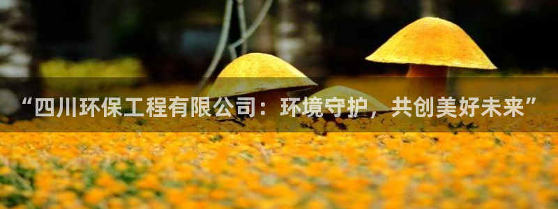 彩名堂双彩网：“四川环保工程有限公司
