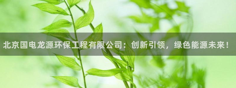 彩名堂安卓客户端官网下载：北京国电龙