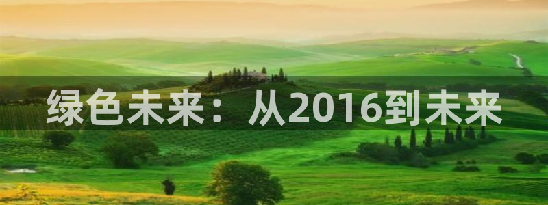 彩名堂一直不出结果怎么回事儿：绿色未来：从2016到未来