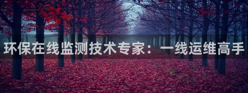 彩名堂计划和01计划怎么很稳：环保在线监测技术专家：一线运维