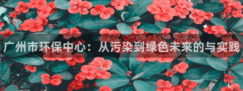 彩名堂计划怎么跟,为什么我一跟就挂：广州市环保中心：从污染到