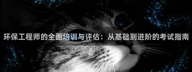 彩名堂计划怎么打不开了：环保工程师的全面培训与评估：从基础到