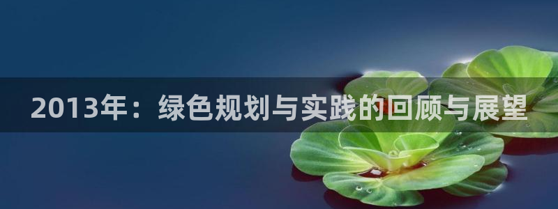 彩名堂一直不出结果怎么回事：2013