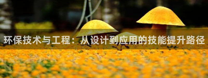 彩名堂最新版www：环保技术与工程：从设计到应用的技能提升路