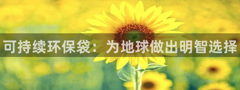 彩名堂计划真的准吗：可持续环保袋：为地球做出明智选择