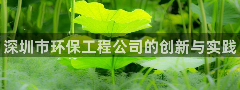 彩名堂官网在线计划：深圳市环保工程公司的创新与实践