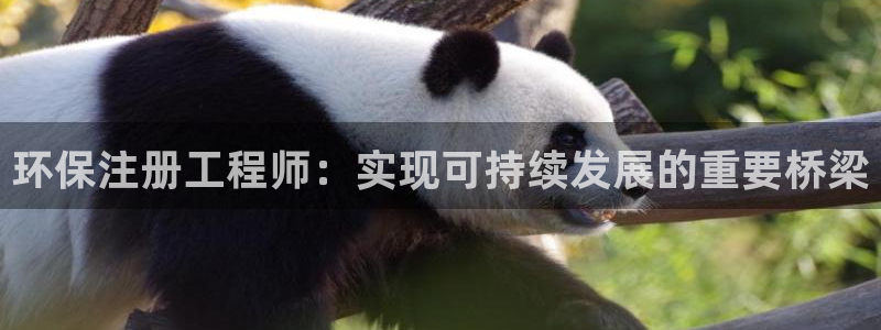 彩名堂计划软件下载：环保注册工程师：实现可持续发展的重要桥梁