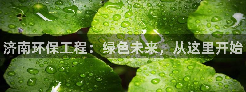 彩名堂官网计划客户端：济南环保工程：绿色未来，从这里开始