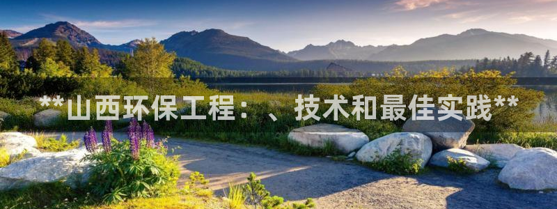 彩名堂是什么：**山西环保工程：、技术和最佳实践**