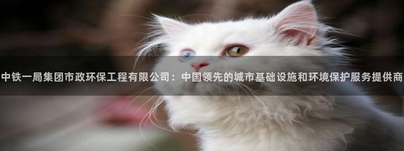彩名堂怎么样：中铁一局集团市政环保工程有限公司：中国领先的城