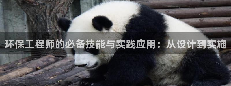 彩名堂使用方法：环保工程师的必备技能与实践应用：从设计到实施