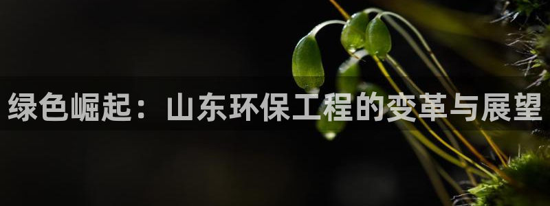 彩名堂客户端是永久免费吗安全吗是真的吗：绿色崛起：山东环保工